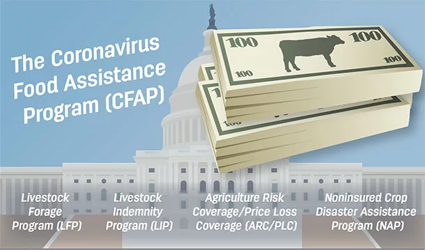 Coronavirus food assistance