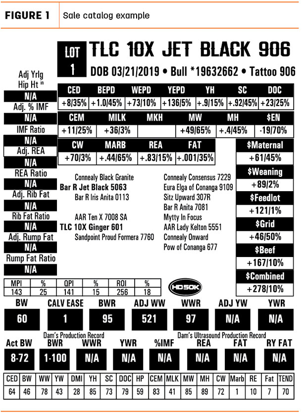 Sale catalog example