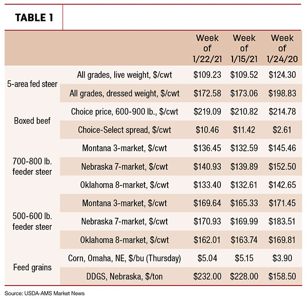 beef prices