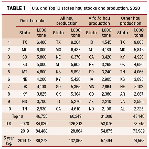 Top 10 hay stocks