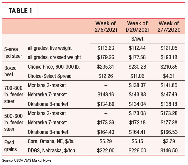 Beef cattle feeder supply