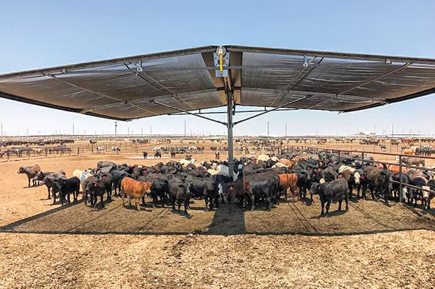 Shade stand