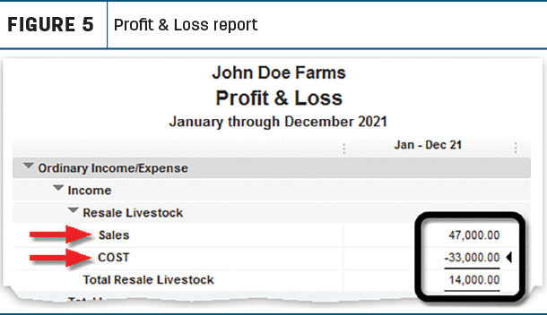 Profit & loss report