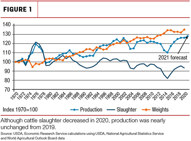 Changes in production