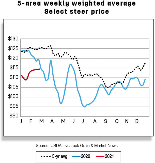 5-area weekly weighted average select steer price