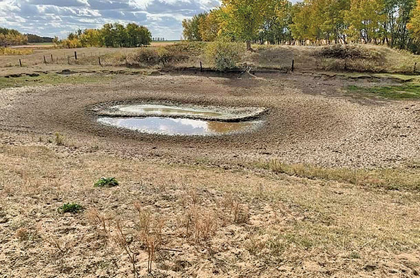 When runoff is low and water level decline and can reach levels that can be toxic