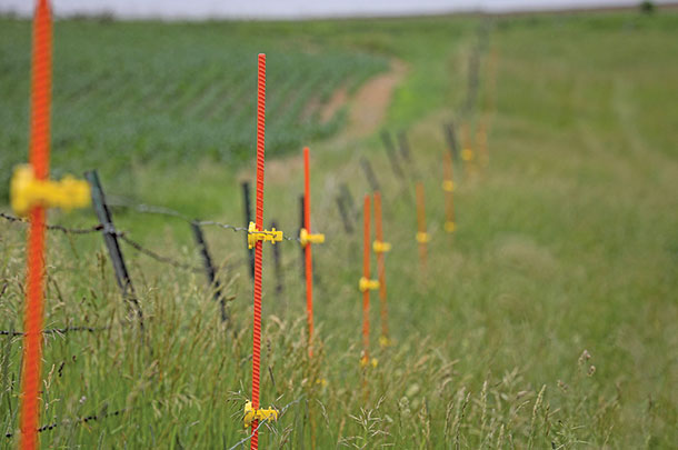 EZ Step fencing