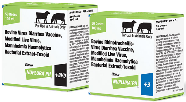 Elanco introduce NUPLURA PH+ for cattle