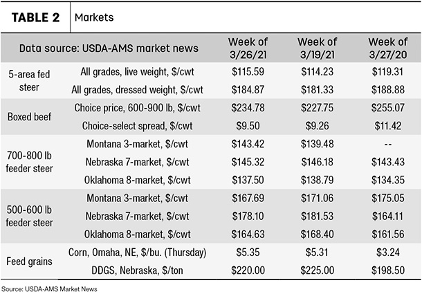 beef markets