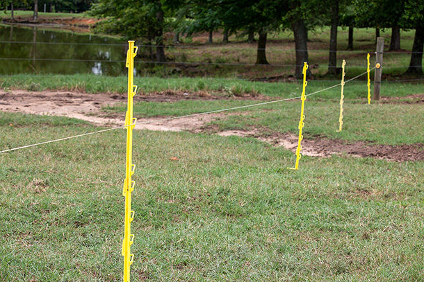 5 things you should know when using temporary electric fencing