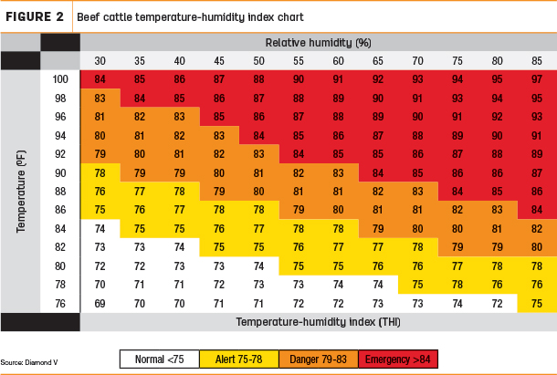 Beef cattle temperature-humidity index chart