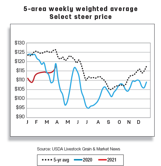 5-area weekly weighted average select steer price