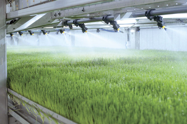 HydroGreen fresh forage units