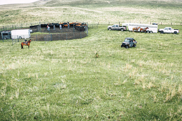 Beef extension services and many reproductive facility provide protabel trailer barns