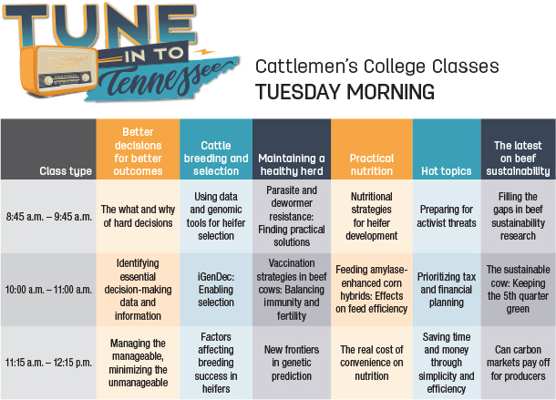 NCBA Tuesday