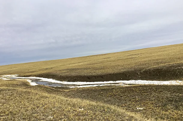 salt on dam