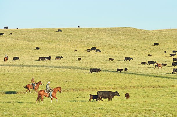 Improving an award-winning ranch | Ag Proud