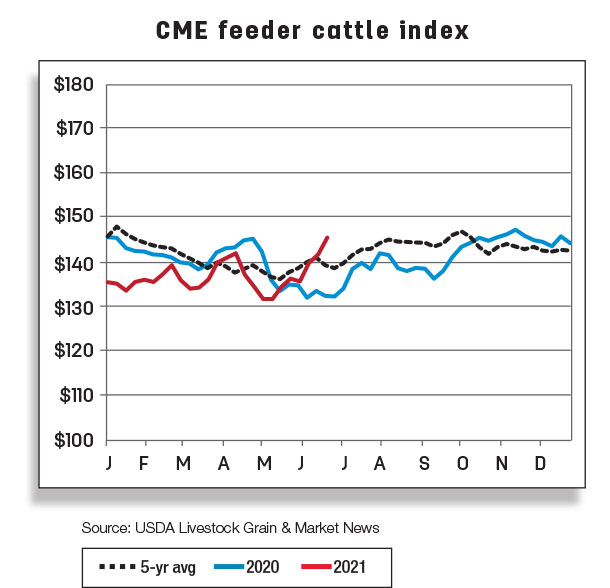 CME feeder cattle index