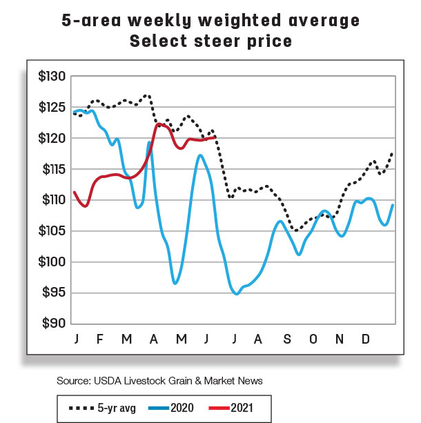 5-area weekly weighted average select steer price