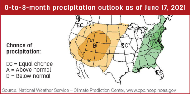 Precipitation map