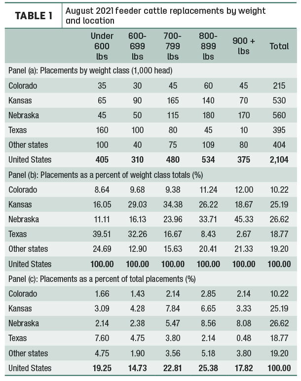 feeder cattle placements