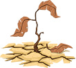 Ongoing drought depletes U.S. cattle inventory