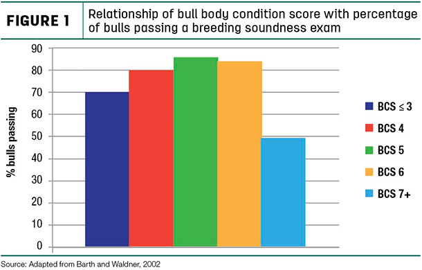 Relatioship of bull body condition score with percentage of bull passing a breeding soundness exam