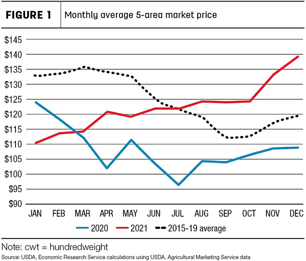 Monthly average 5-area market price