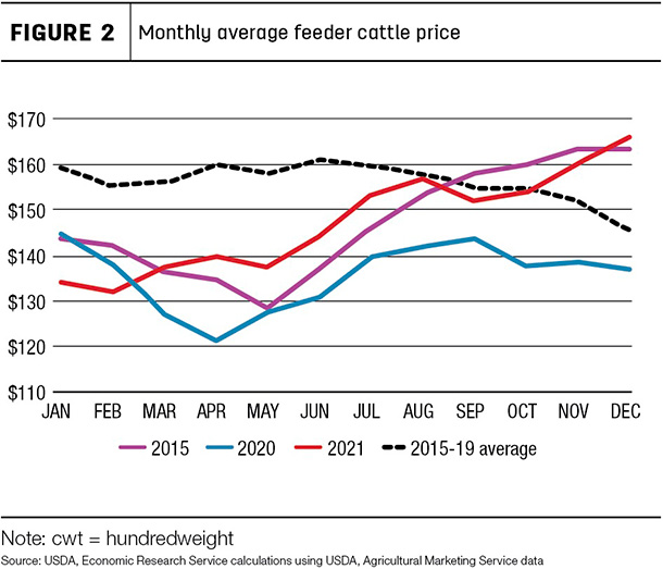 Monthly average feeder cattle price