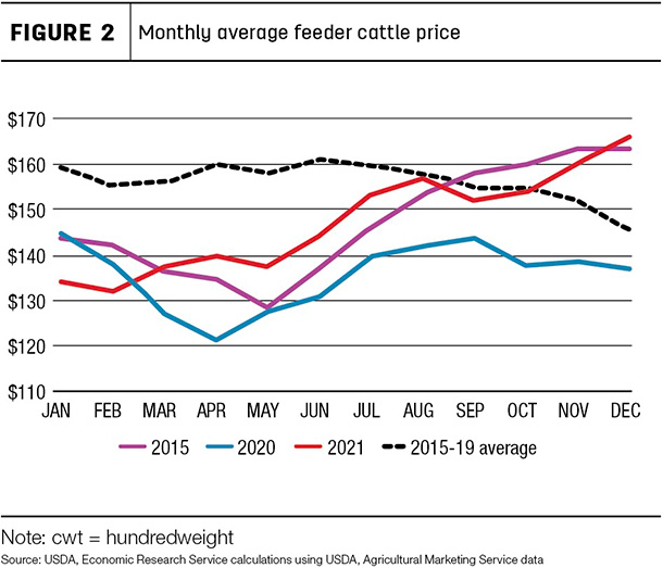 Monthly average feeder cattle price