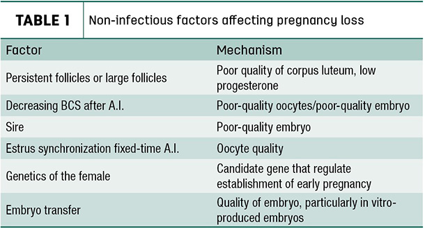 Non-infectious factors affecting pregnany loss
