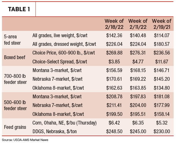 beef prices