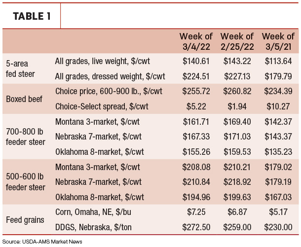 cattle market prices