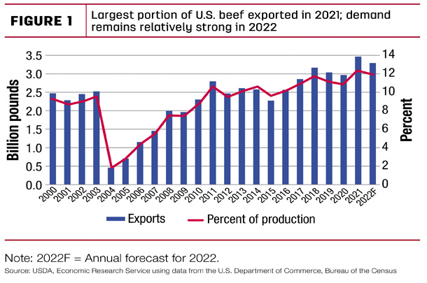 Largest portion of U.S. beef exported in 2021