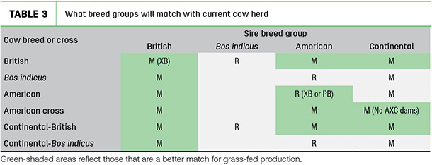 What breed groups will match with current cow herd