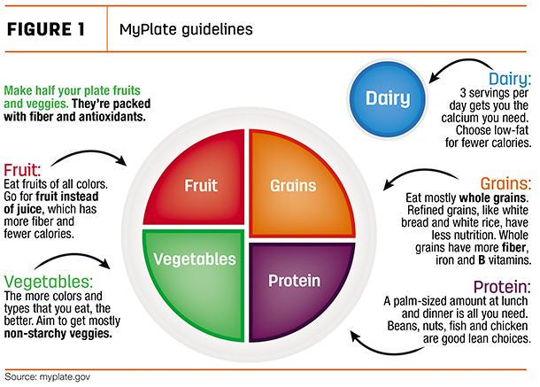 MyPlate guidelines
