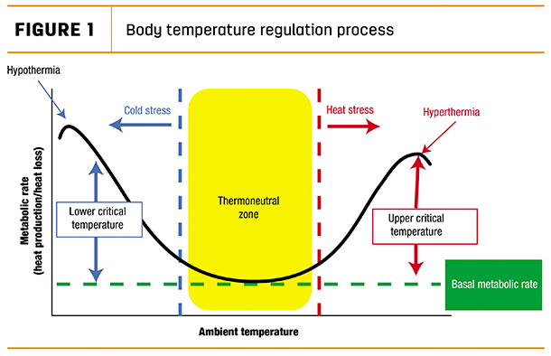 Body temperature regulation process