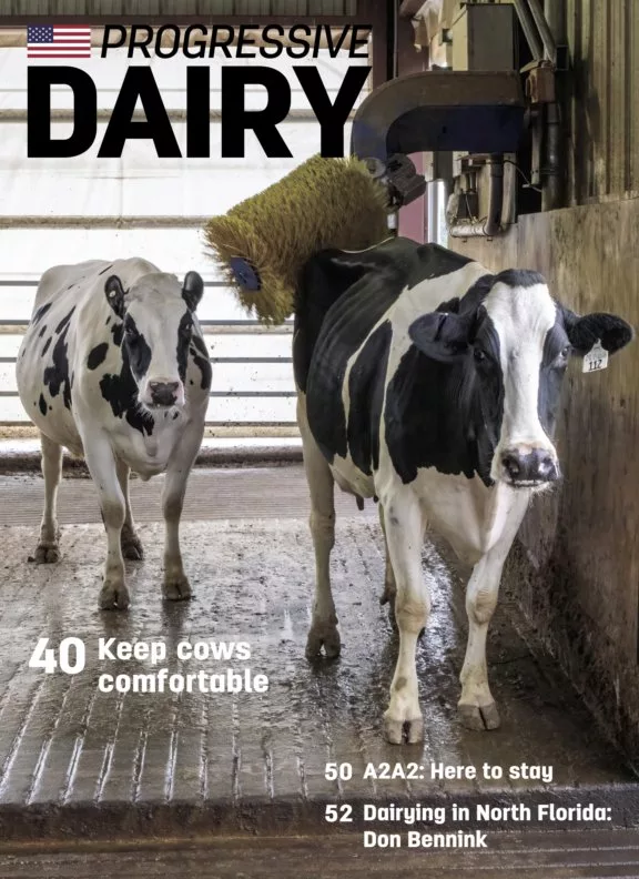 Progressive Dairy Issue 7, 2022