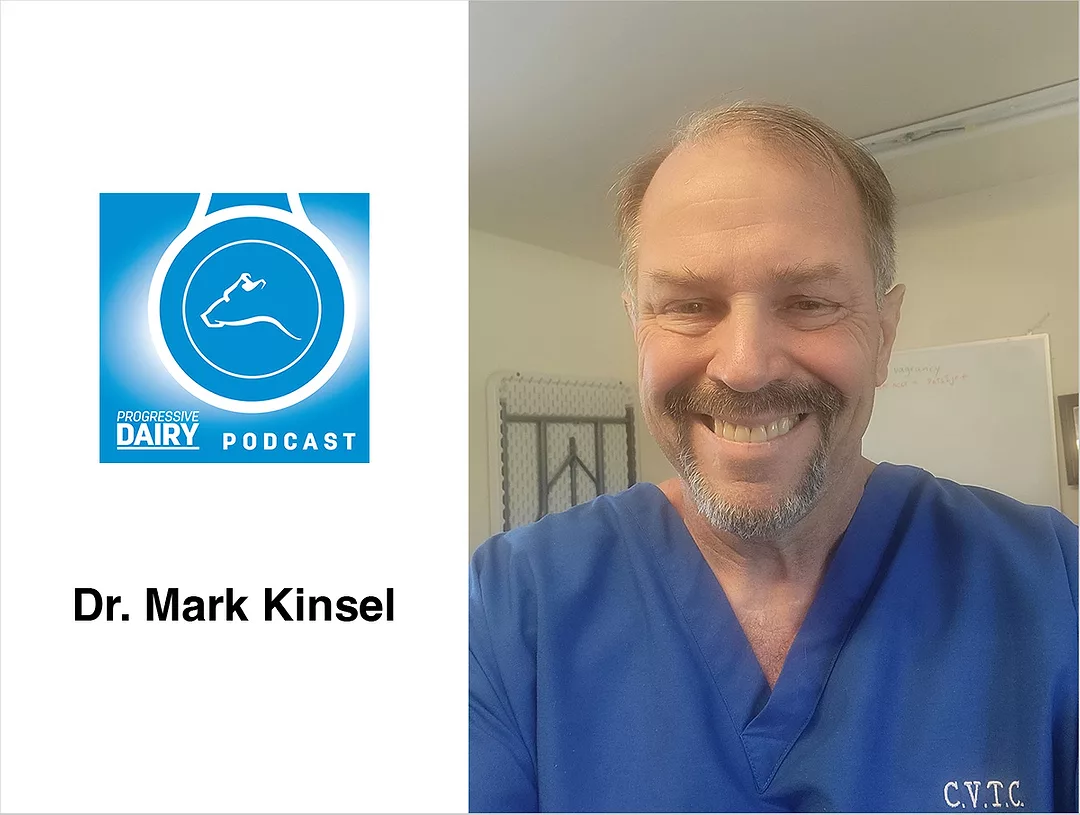 Progressive Dairy Podcast -- Dr. Mark Kinsel