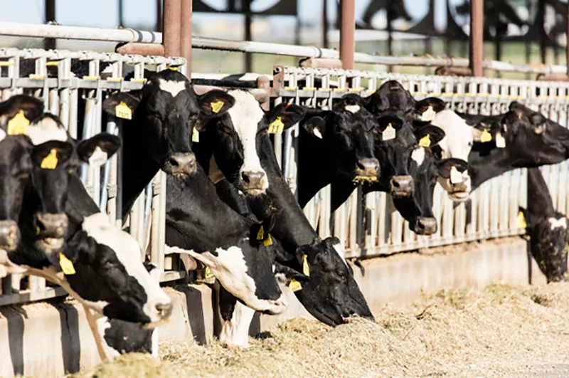 Central Life Sciences - July 2023 PD sponsored content