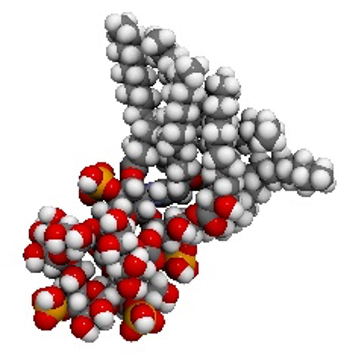 volac-lps-3.jpg