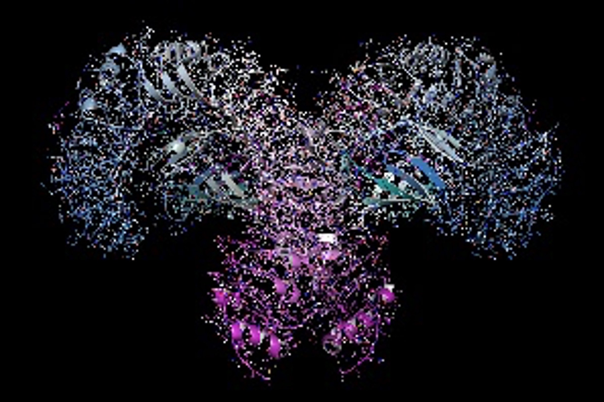 volac-lps-4.jpg