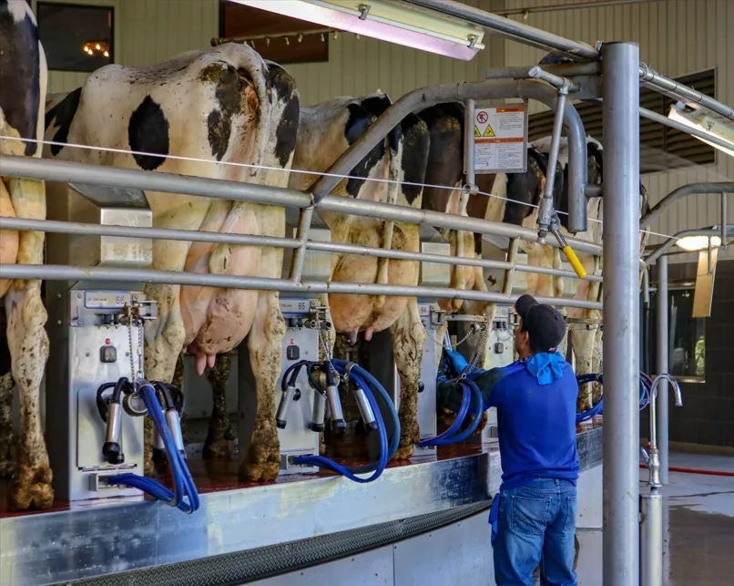 Milk quality