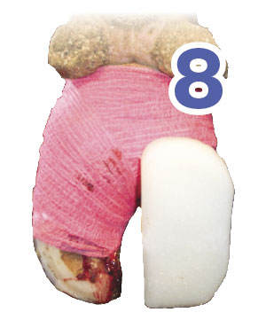 Hoof 8