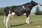 20100513 semex buckeye full