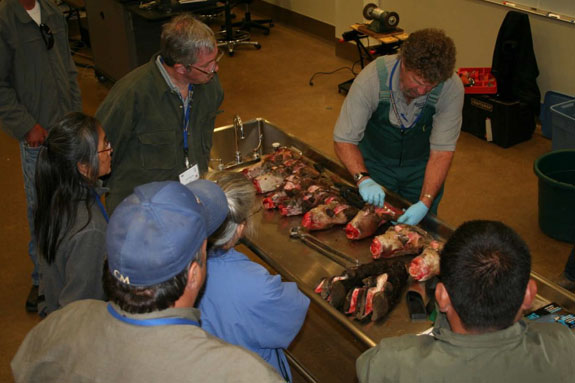 052010_shortcourse1