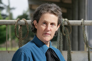 110114_i29_grandin