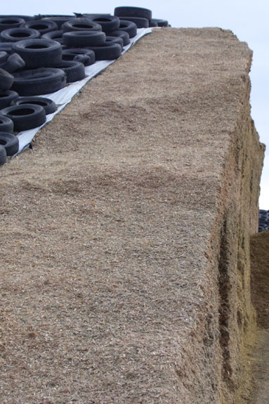 silage bunker