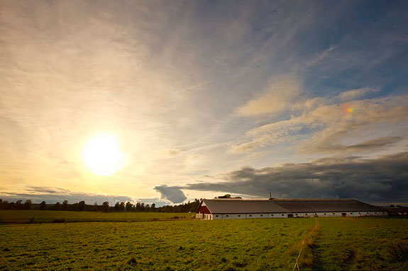 051911_sweden6