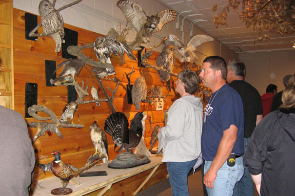 062211_mmpa_wildlife